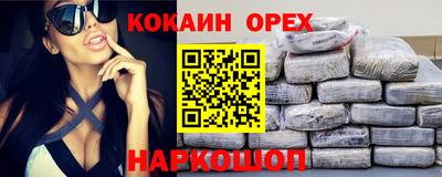 МДПВ Кингисепп